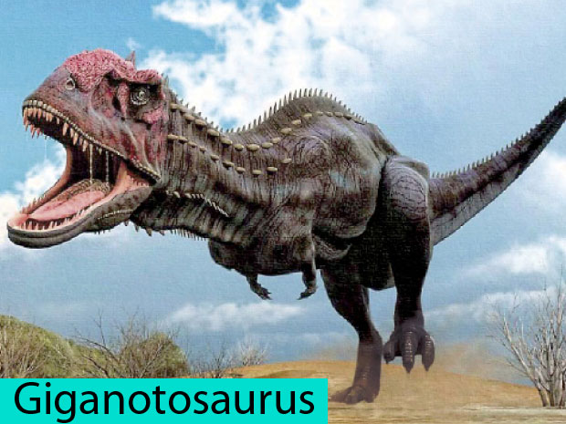 Dinosaurios: Clasificación según su alimentación | El Popular